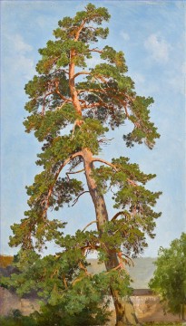 Paisajes Painting - Pino paisaje clásico Ivan Ivanovich árboles